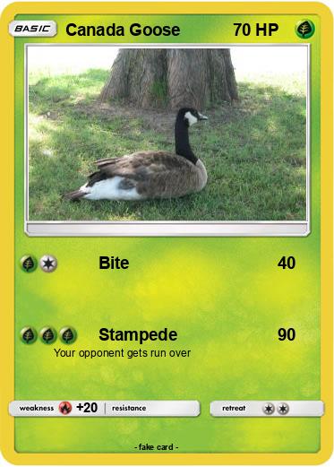 Pokemon Canada Goose
