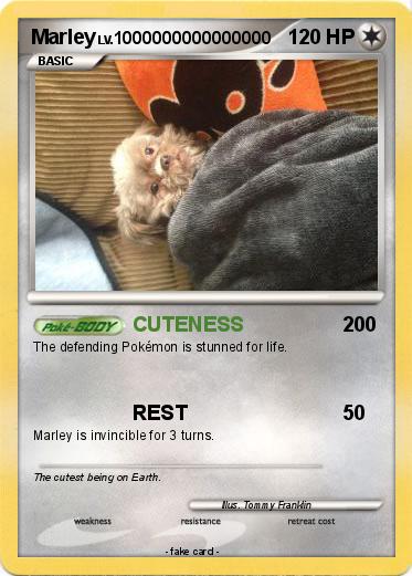 Pokemon Marley
