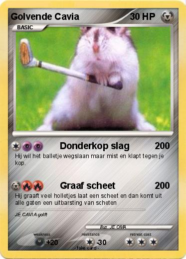 Pokemon Golvende Cavia