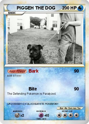 Pokemon PIGGEH THE DOG