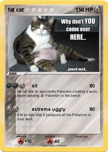Pokemon fat cat