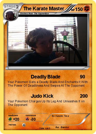 Pokemon The Karate Master