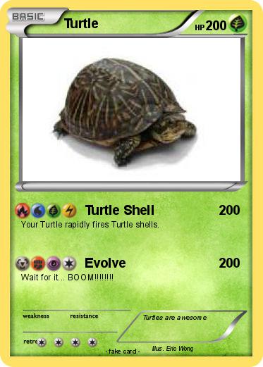 Pokemon Turtle