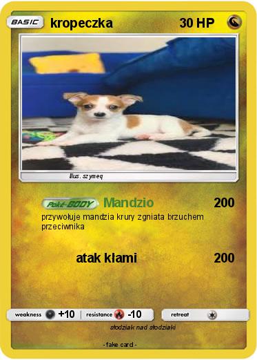 Pokemon kropeczka