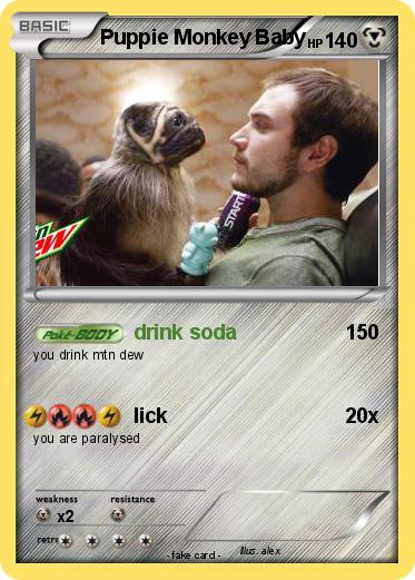 Pokemon Puppie Monkey Baby