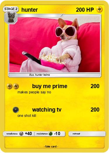 Pokemon hunter