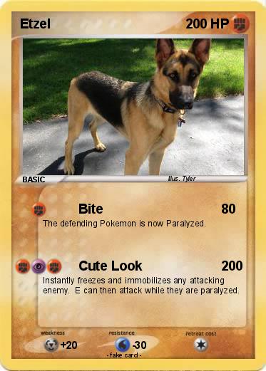 Pokemon Etzel