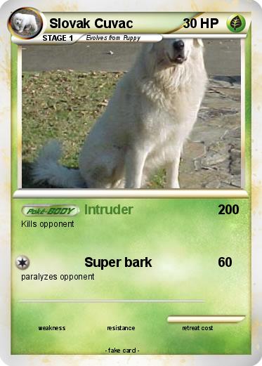 Pokemon Slovak Cuvac