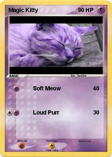 Pokemon Magic Kitty
