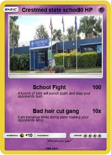 Pokemon Crestmed state school