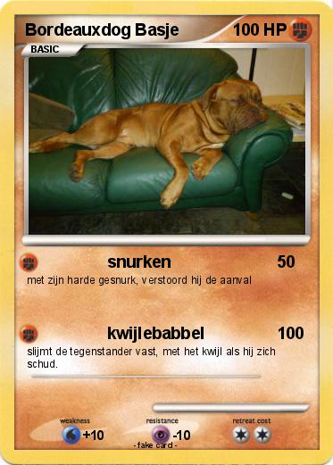 Pokemon Bordeauxdog Basje