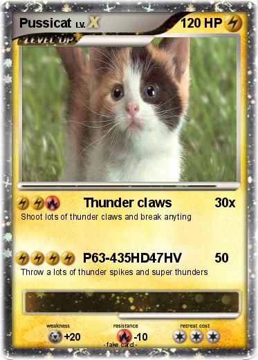 Pokemon Pussicat