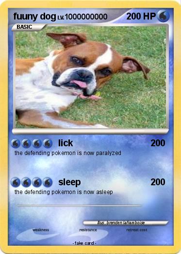 Pokemon fuuny dog