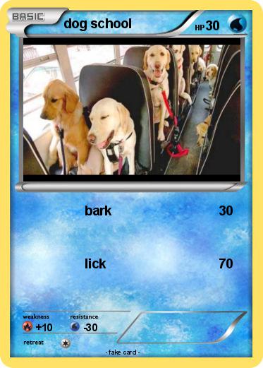 Pokemon dog school