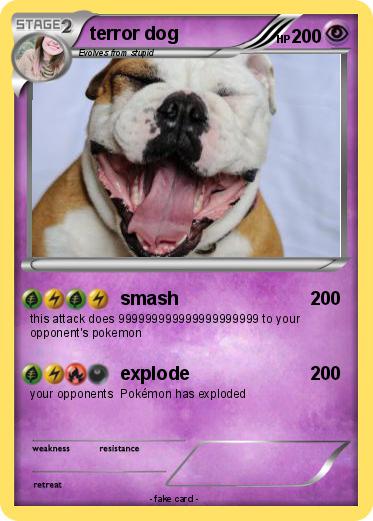 Pokemon terror dog