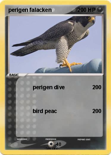 Pokemon perigen falacken