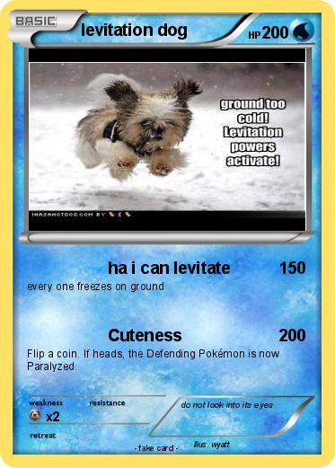 Pokemon levitation dog