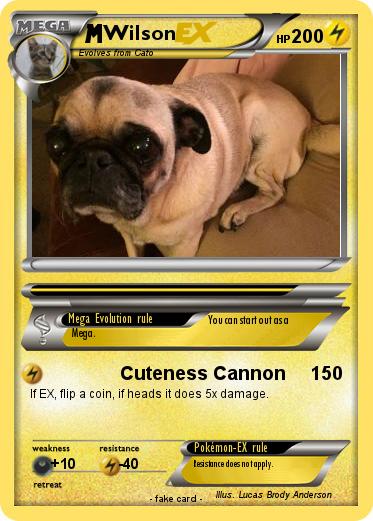 Pokemon Wilson