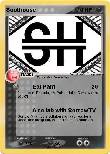 Pokemon Soothouse