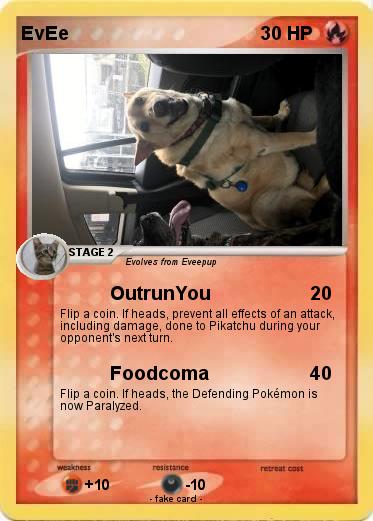 Pokemon EvEe