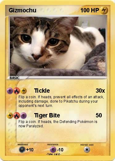 Pokemon Gizmochu