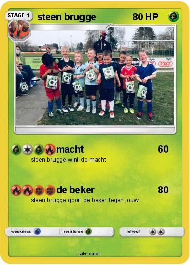 Pokemon steen brugge