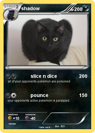 Pokemon shadow