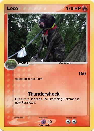 Pokemon Loco