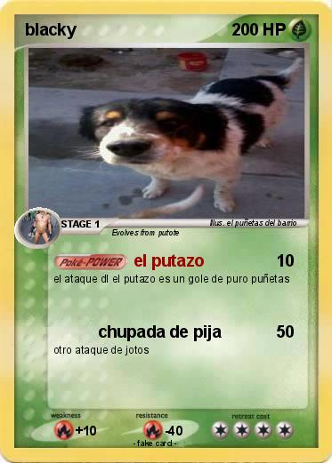 Pokemon blacky