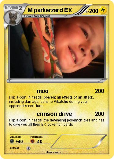 Pokemon M parkerzard EX