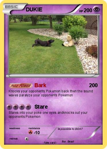 Pokemon DUKIE