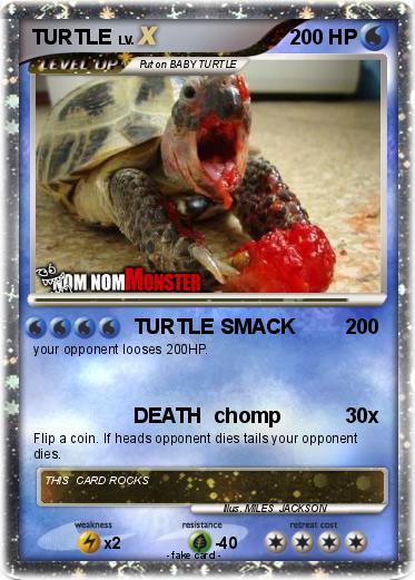 Pokemon TURTLE