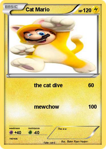 Pokemon Cat Mario
