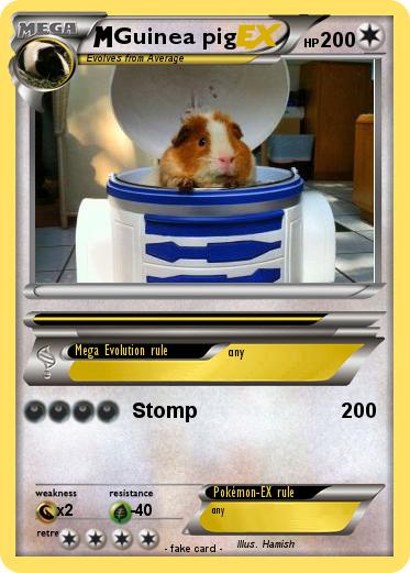 Pokemon Guinea pig