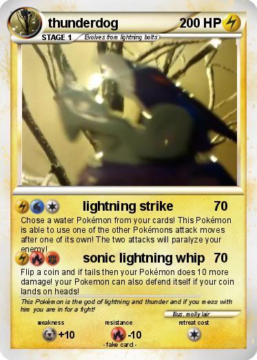 Pokemon thunderdog