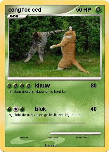 Pokemon cong foe ced