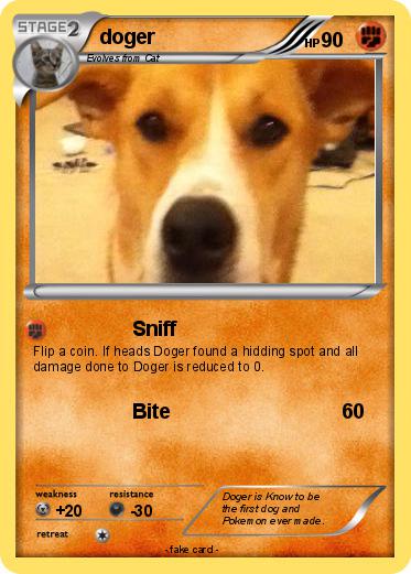 Pokemon doger