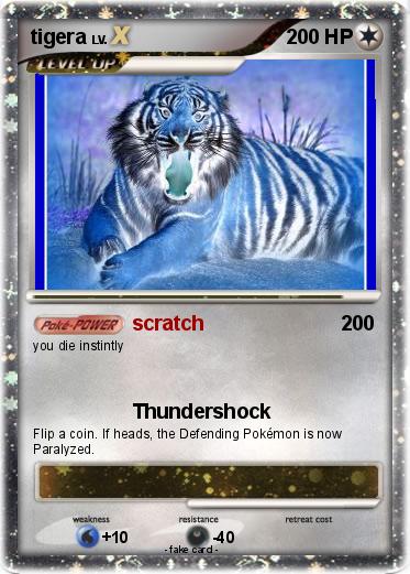 Pokemon tigera