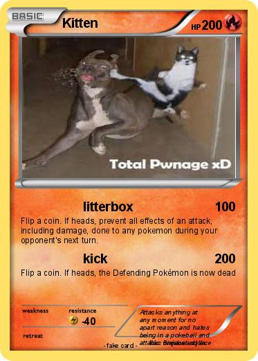 Pokemon Kitten