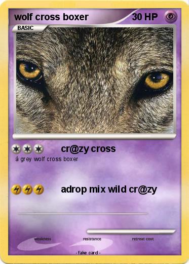 Pokemon wolf cross boxer
