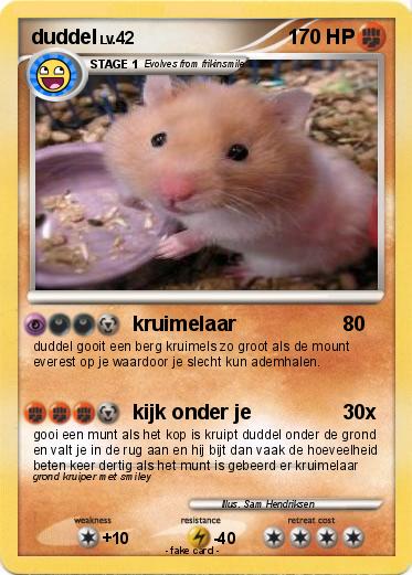 Pokemon duddel