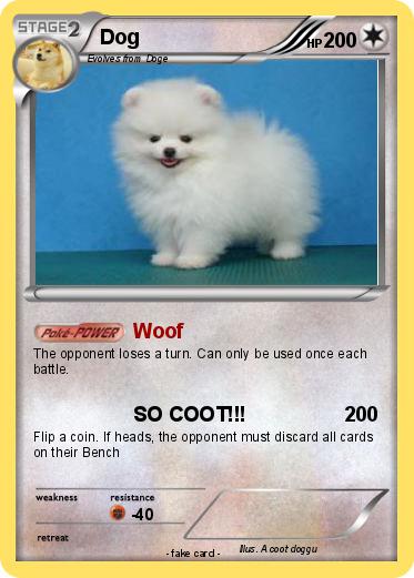 Pokemon Dog