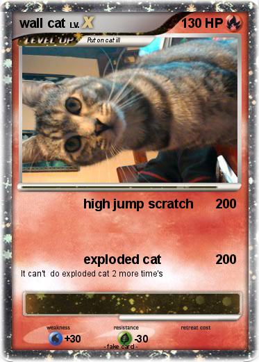 Pokemon wall cat