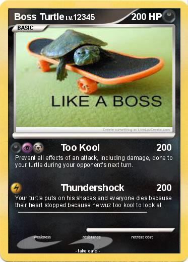 Pokemon Boss Turtle