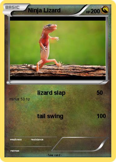 Pokemon Ninja Lizard