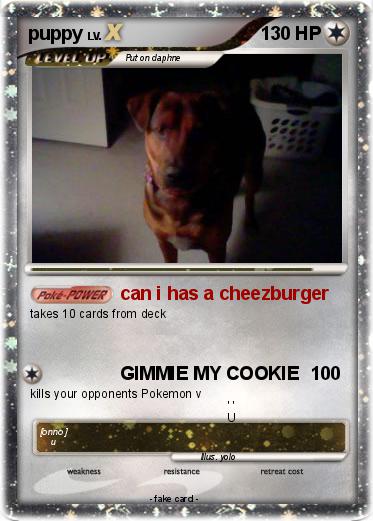 Pokemon puppy