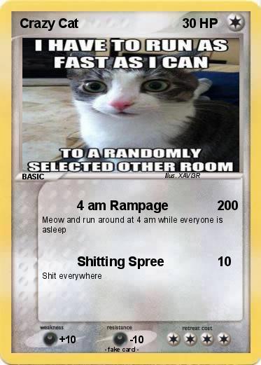 Pokemon Crazy Cat