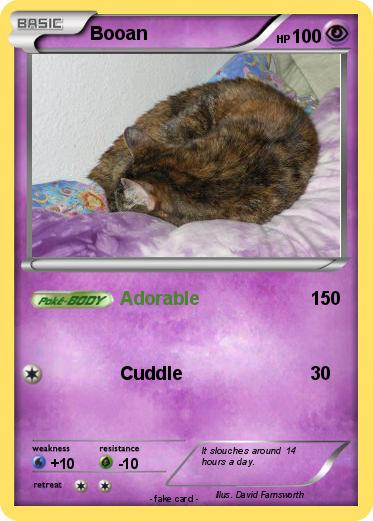 Pokemon Booan