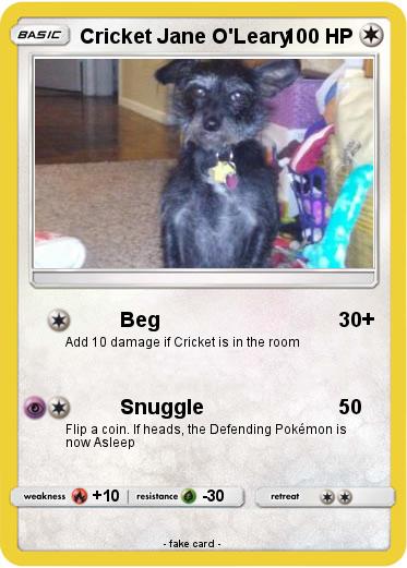 Pokemon Cricket Jane O'Leary
