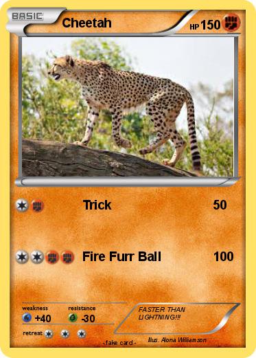 Pokemon Cheetah